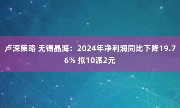 卢深策略 无锡晶海：2024年净利润同比下降19.76% 拟10派2元