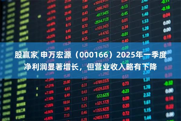 股赢家 申万宏源（000166）2025年一季度净利润显著增长，但营业收入略有下降