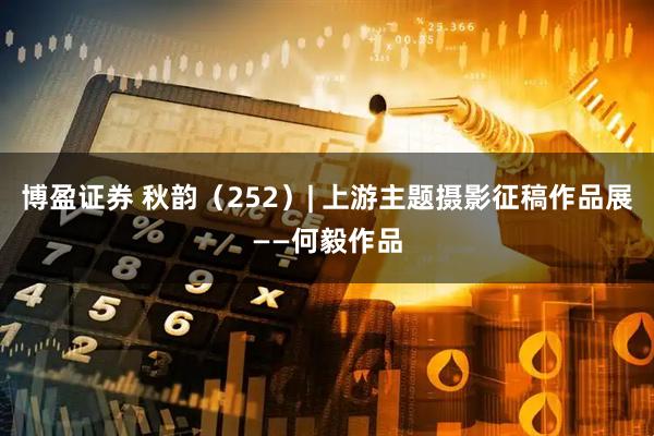 博盈证券 秋韵（252）| 上游主题摄影征稿作品展——何毅作品